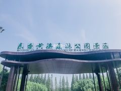 -黄海国家森林公园