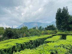 -云南民族村