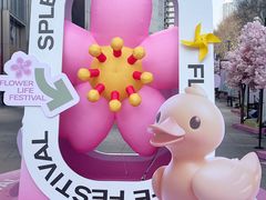-金茂览秀城