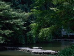 -杭州植物园