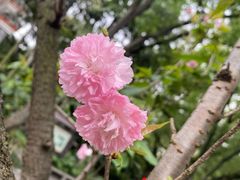 -柳侯公园