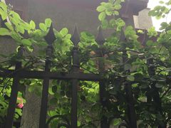 -上海市基督教诸圣堂