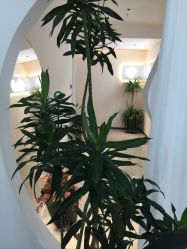 -Miss·A日式美甲美睫