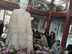 -神州牡丹园