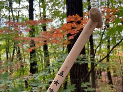 -五女峰国家森林公园