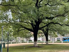 -星巴克(上海交通大学店)