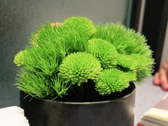 -柿合缘新京菜(国金中心商场店)