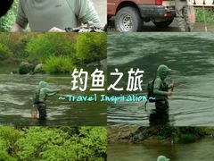 -阳台山自然风景区
