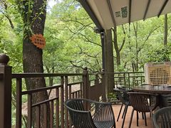 -巴倒烫陆派火锅山庄(南山总店)