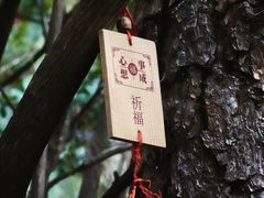 -寂照庵