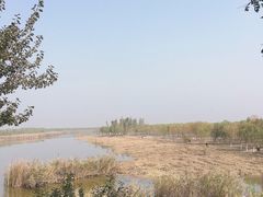 -西青郊野公园