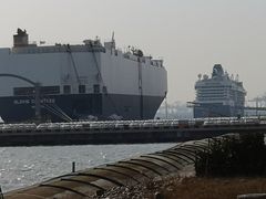 -东疆建设开发纪念公园