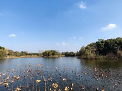 -上海市保健医疗中心