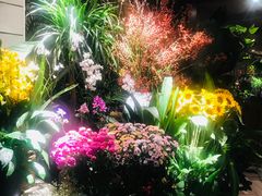 -春暖花开(西溪店)