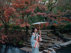 -田野绿世界