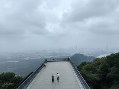 -紫金山山顶公园