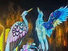 -洋湖国家湿地公园