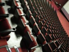 -悦江新远影城IMAX