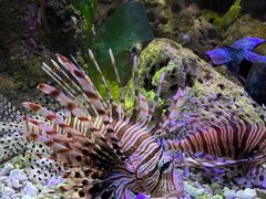 -太平洋海底世界