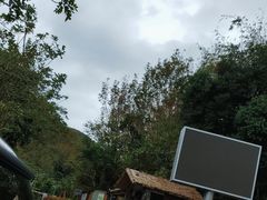 -海南热带雨林国家公园吊罗山景区