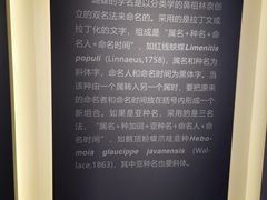-吉林省自然博物馆