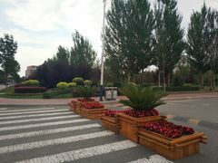 -哈尔滨师范大学(松北校区)