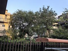 -澹台湖公园