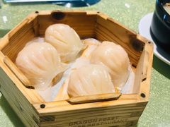 龙庭水晶虾饺皇-龙庭华宴·粤菜·早茶