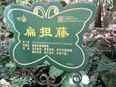-呀诺达热带雨林