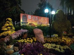 android_upload_pic-西北湖绿化广场