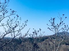 -青龙山公园