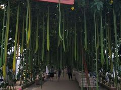 -北戴河集发农业梦想王国