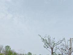-西安浐灞国家湿地公园