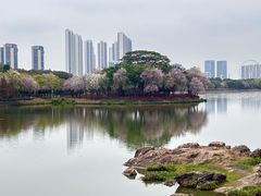 -顺峰山公园