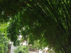 -毛泽东同志旧居