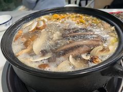 -蘑统田下·野生菌火锅