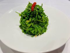 -老阊门菜馆(山塘街店)