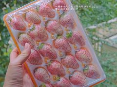 -盒马鲜生(财富领域店)