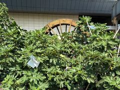 -成都银泰城