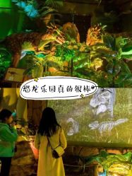 -恐龙探索乐园(磁器口店)