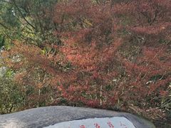 -庐山风景区花径公园