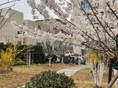 -山东省千佛山医院
