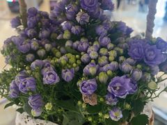 -锦庐道地川菜(来福士店)