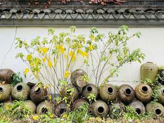 -柯岩风景区
