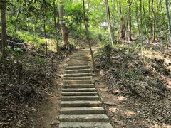 -上海佘山国家森林公园天马山园