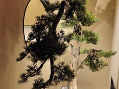 -觅唐MITONG(鸟巢店)