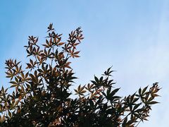 -溪口商量岗景区