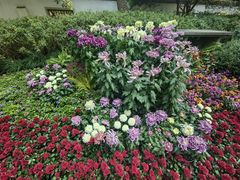 -杭州植物园