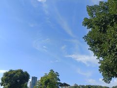 -南沙蒲洲花园