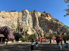 -西霞口神雕山野生动物世界